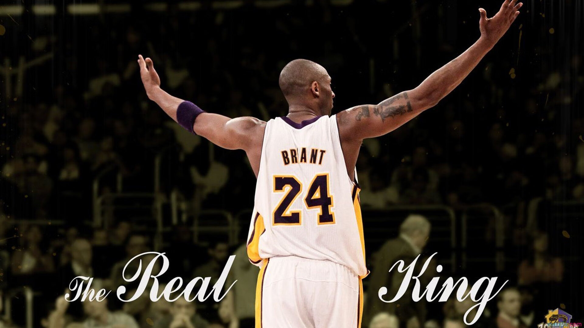 爱游戏体育平台-麦金托什冲刺时刻点燃全场氛围，麦金托什还是马金托什