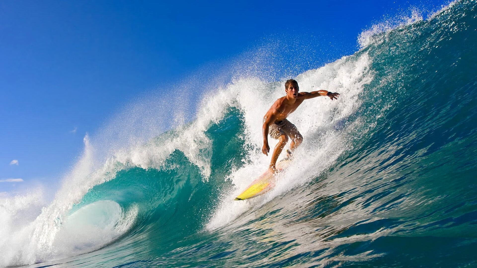 爱游戏体验-美国反曲弓男队在世界青年射箭锦标赛中获得金牌，反曲弓国际比赛多少米